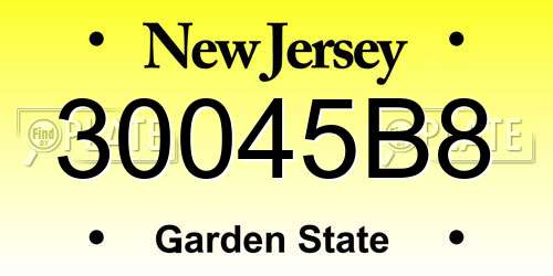 30045B8 New Jersey License Plate