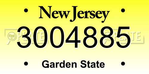 3004885 New Jersey License Plate