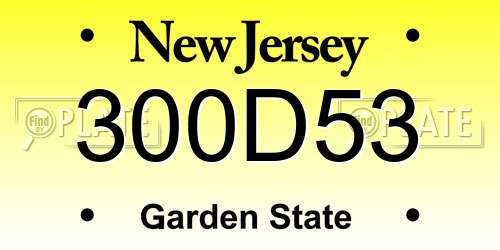 300D53 New Jersey License Plate