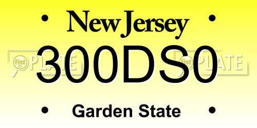 300DS0 New Jersey License Plate