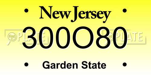 300O80 New Jersey License Plate
