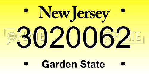 3020062 New Jersey License Plate