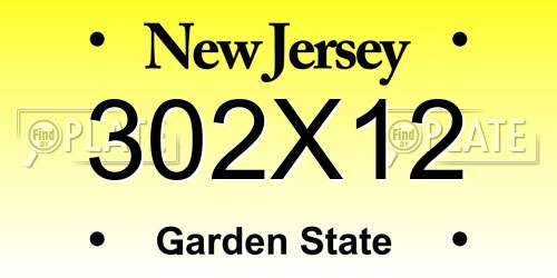 302X12 New Jersey License Plate