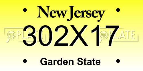 302X17 New Jersey License Plate