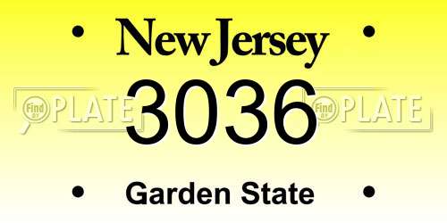 3036 New Jersey License Plate