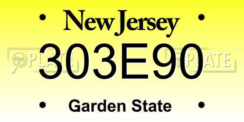 303E90 New Jersey License Plate