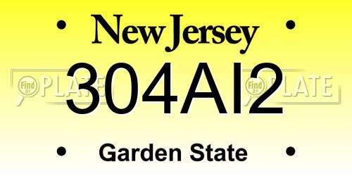 304AI2 New Jersey License Plate