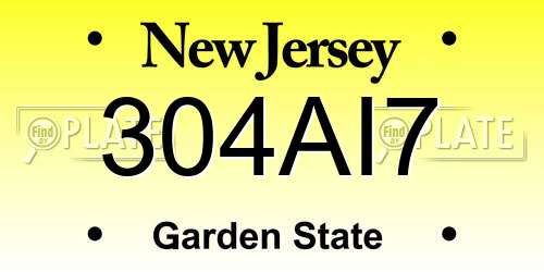 304AI7 New Jersey License Plate
