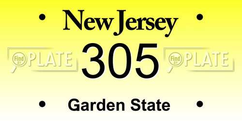 305 New Jersey License Plate