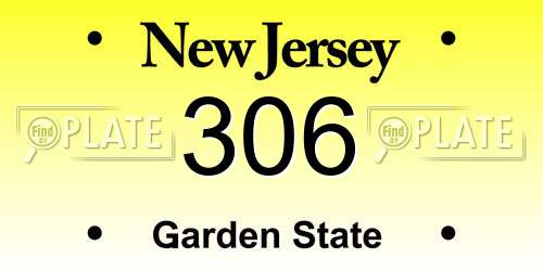 306 New Jersey License Plate