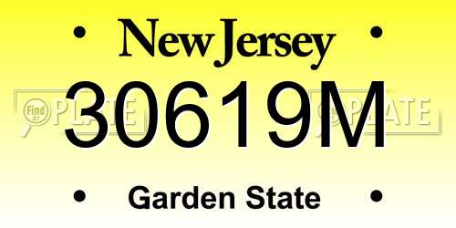 30619M New Jersey License Plate