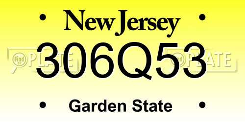 306Q53 New Jersey License Plate