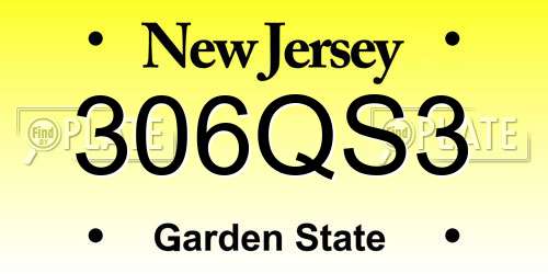 306QS3 New Jersey License Plate