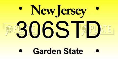 306STD New Jersey License Plate