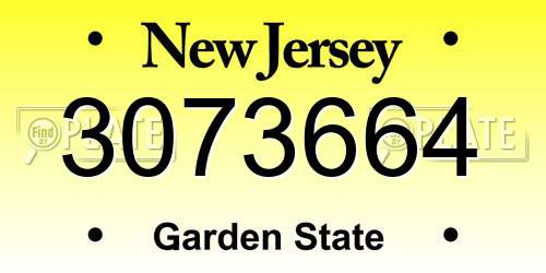 3073664 New Jersey License Plate