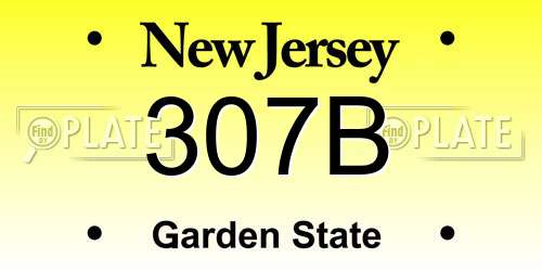 307B New Jersey License Plate