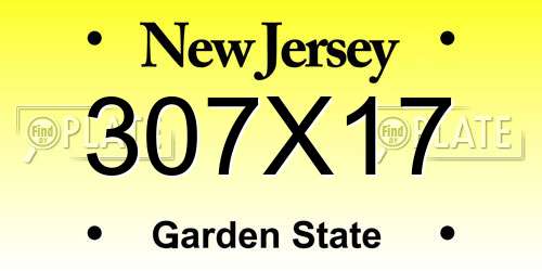 307X17 New Jersey License Plate