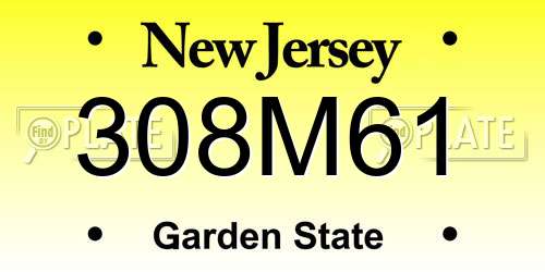 308M61 New Jersey License Plate