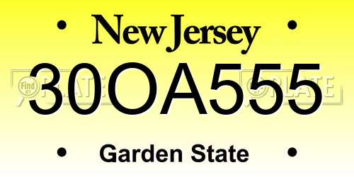 30OA555 New Jersey License Plate