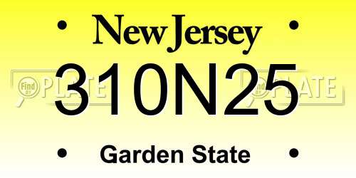 310N25 New Jersey License Plate