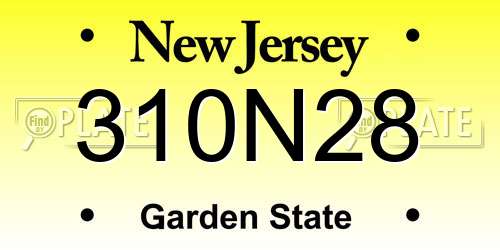 310N28 New Jersey License Plate