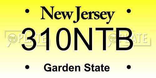 310NTB New Jersey License Plate