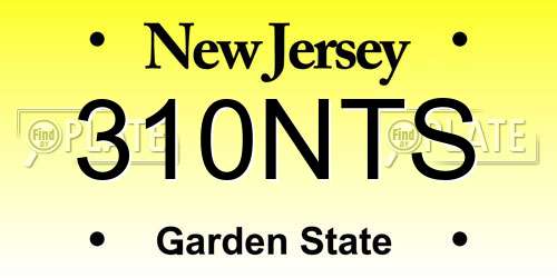 310NTS New Jersey License Plate