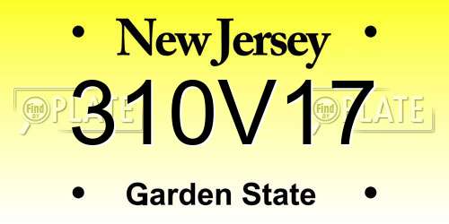 310V17 New Jersey License Plate