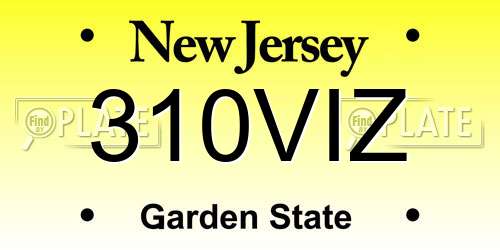 310VIZ New Jersey License Plate