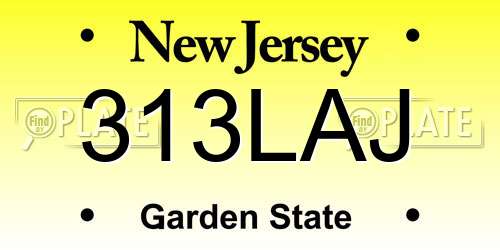 313LAJ New Jersey License Plate