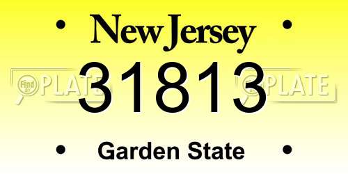 31813 New Jersey License Plate