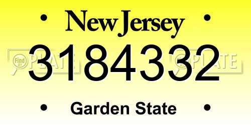 3184332 New Jersey License Plate