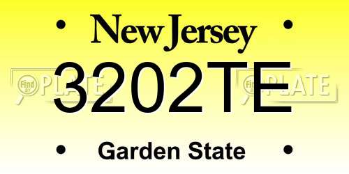 3202TE New Jersey License Plate