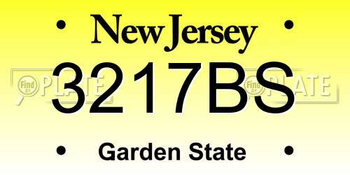 3217BS New Jersey License Plate