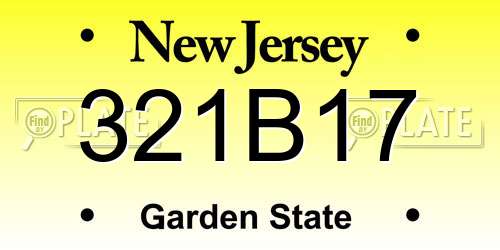 321B17 New Jersey License Plate