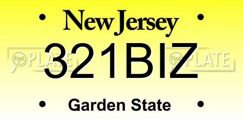 321BIZ New Jersey License Plate