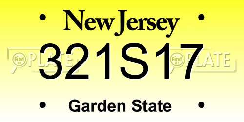 321S17 New Jersey License Plate
