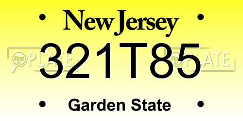 321T85 New Jersey License Plate