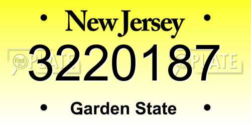 3220187 New Jersey License Plate