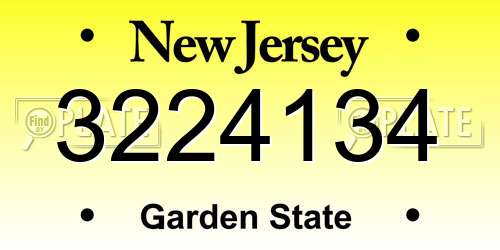 3224134 New Jersey License Plate