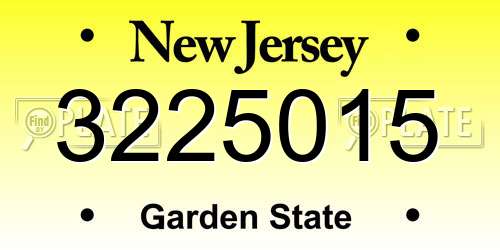 3225015 New Jersey License Plate