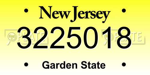 3225018 New Jersey License Plate