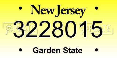 3228015 New Jersey License Plate
