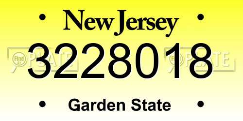 3228018 New Jersey License Plate