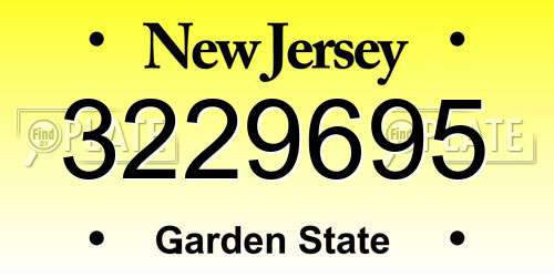 3229695 New Jersey License Plate