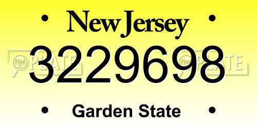3229698 New Jersey License Plate