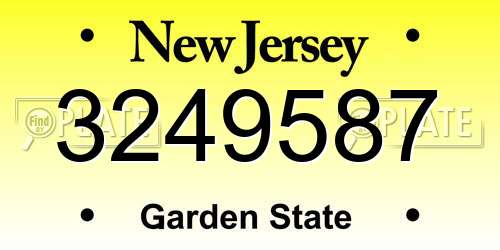 3249587 New Jersey License Plate