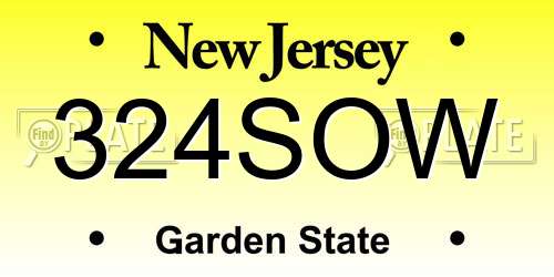324SOW New Jersey License Plate