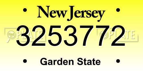 3253772 New Jersey License Plate