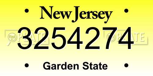 3254274 New Jersey License Plate